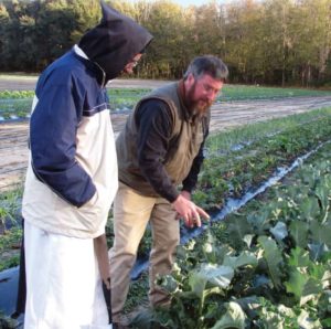 A Monk and farmer examine lettuce crop