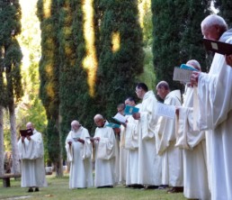 Monks in cowl pray in garden