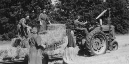 old black and white photo of several Wrentham sister loading hay into a wagon