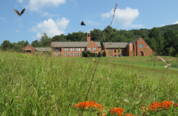 Or Lady of the Angels monastery as seen in a beautiful meadow with flowers and butterflies